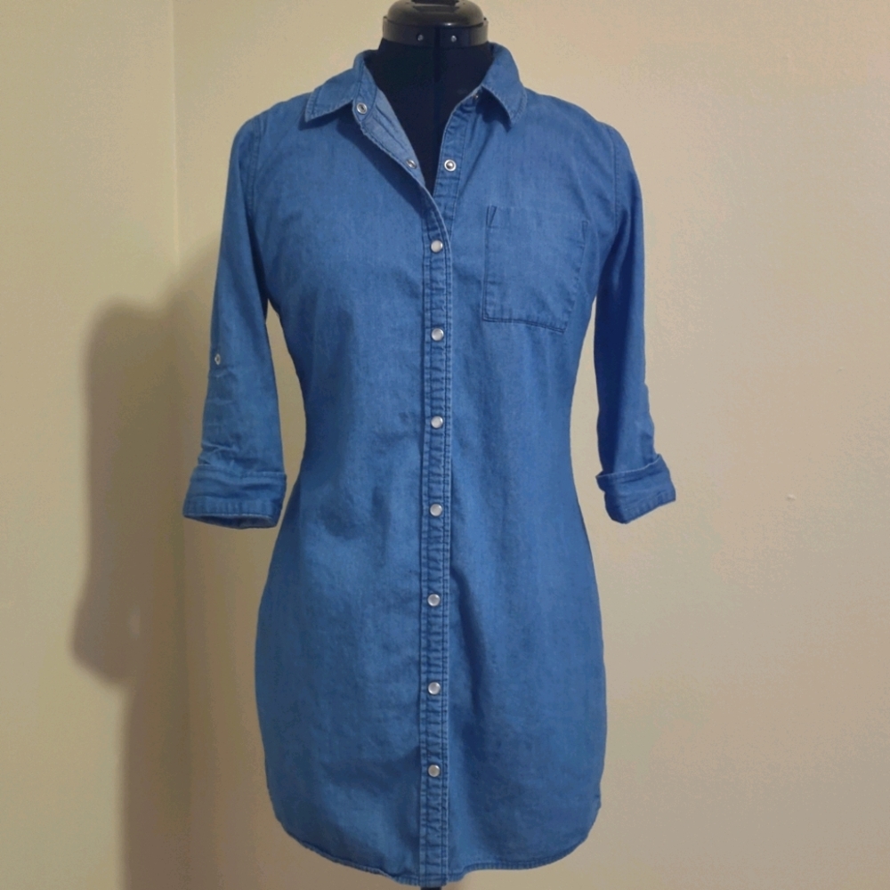 Kale Generation denim shirt dress